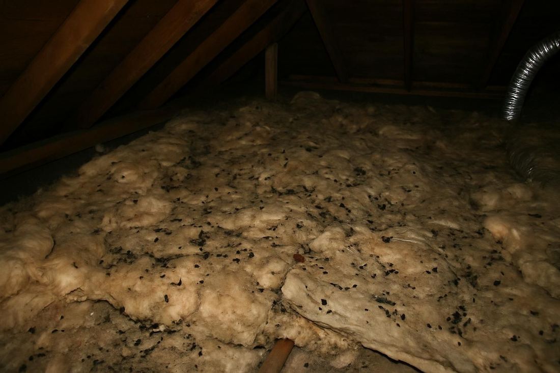 Attic Cleanup in Memphis, TN